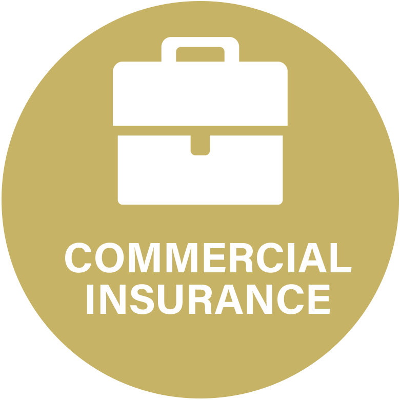 aia-icon-Commercial-Insurance