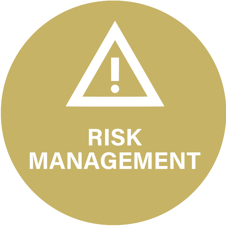 aia-icon-Risk-Management